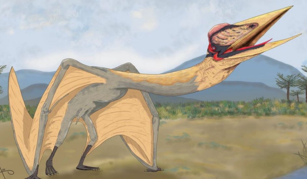 Thanatosdrakon amaru